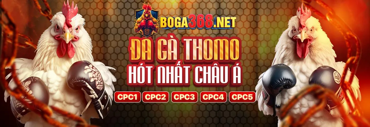 Đa dạng trò chơi và tỷ lệ cược cạnh tranh