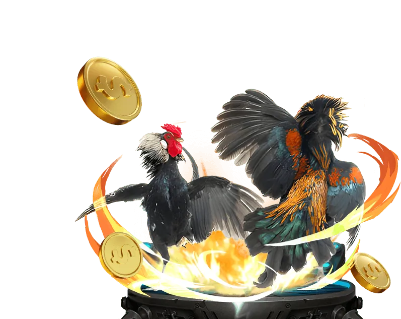 Các kênh liên hệ đa dạng của áp đá gà trực tiếp